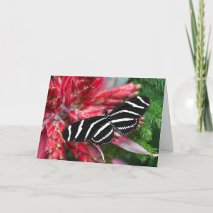 Zebra Longwing julkort Helgkort