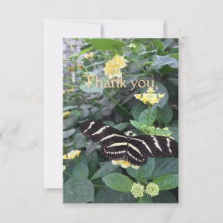 Zebra Longwing Thank You Card Tack Kort