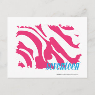Zebra Magenta 3 Vykort