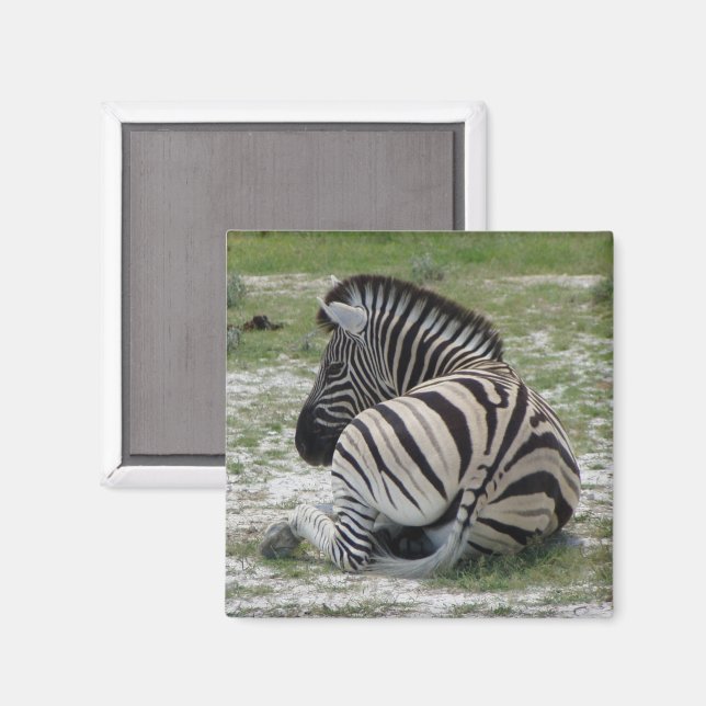 Zebra Magnet (Front/Back)