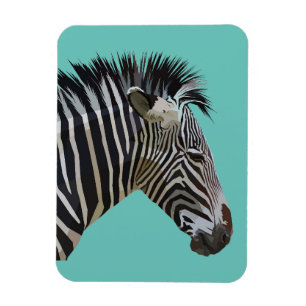ZEBRA MAGNET