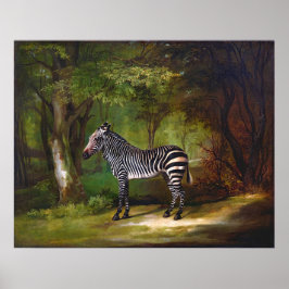 Zebra-målning (1763) av George Stubbs Poster