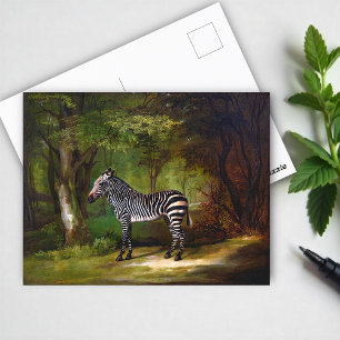 Zebra-målning (1763) av George Stubbs Vykort