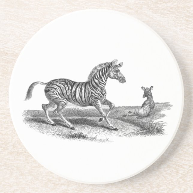 Zebra Mare Foal Vintage Animal Art Underlägg Sandsten (Framsidan)