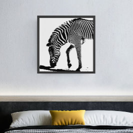 Zebra med skugga poster