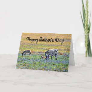 Zebra med Spädbarn Mors dag Card Kort