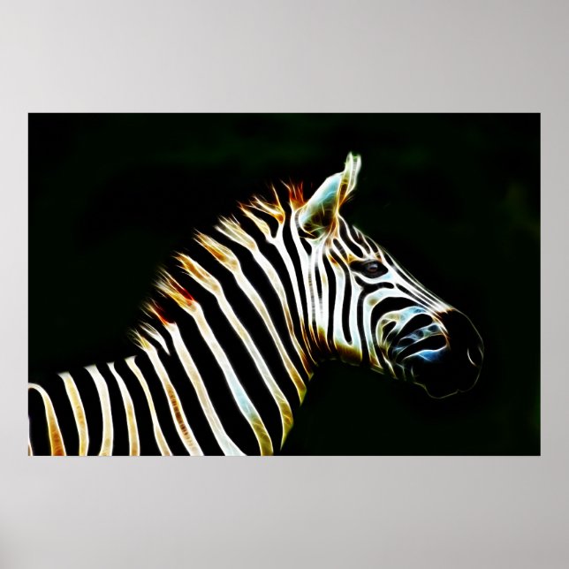 Zebra med svart och vitt rand i Afrika Poster (Framsidan)