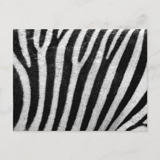 zebra mönstrad vykort