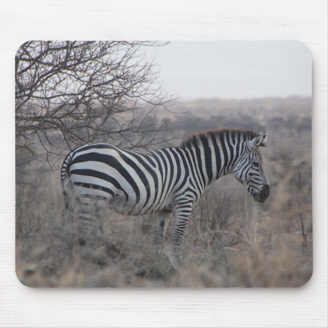 Zebra Mouse Pad Musmatta (Framsidan)