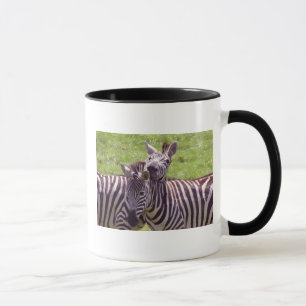 Zebra mugg