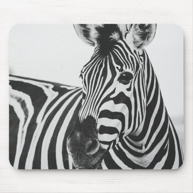 Zebra Musmatta (Framsidan)