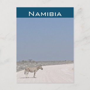 Zebra, Namibia vykort