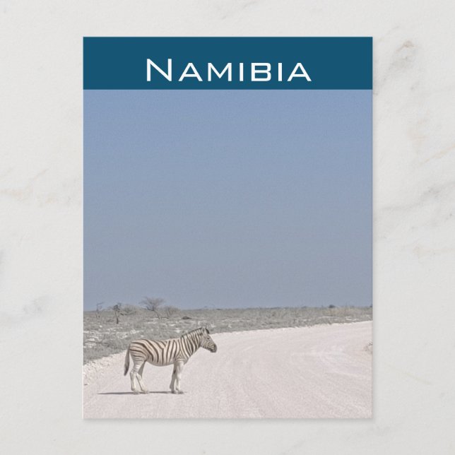 Zebra, Namibia vykort (Framsida)