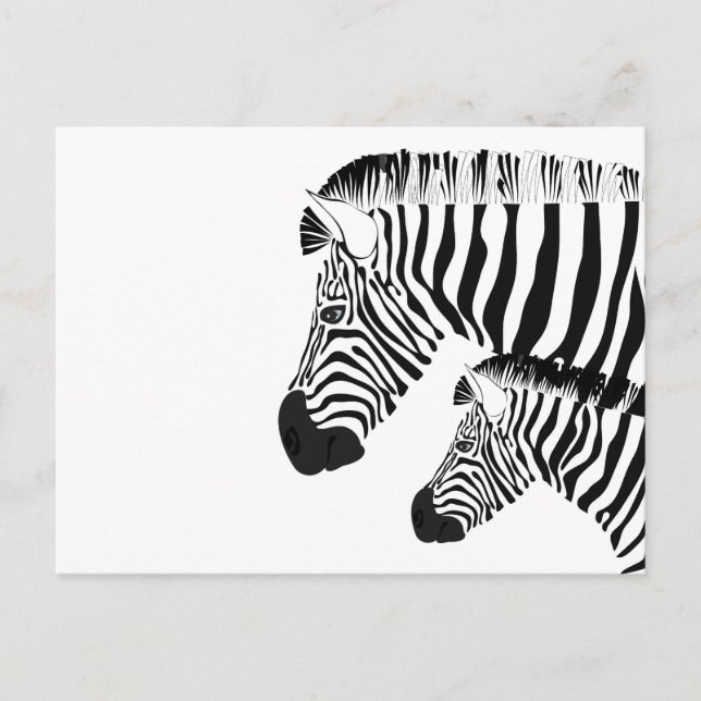 Zebra och baby vykort (Framsida)