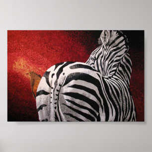 Zebra och Oxpecker Poster