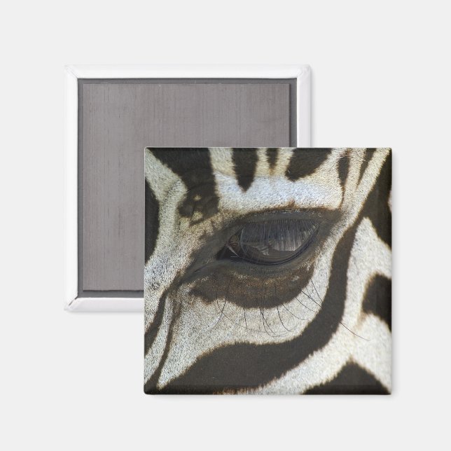 Zebra Öga Magnet (Front/Back)
