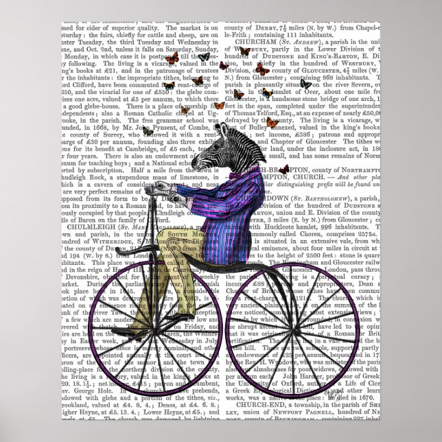 Zebra On Bicycle Poster (Framsidan)