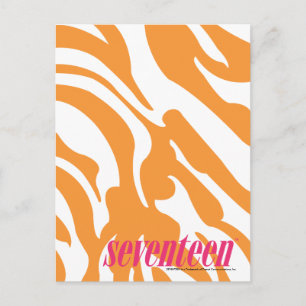 Zebra Orange Vykort