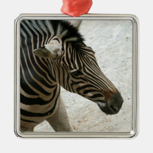 Zebra Ornament