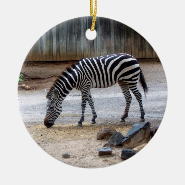Zebra Ornament (Framsidan)