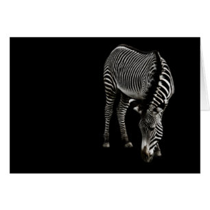 Zebra P4435-kort OBS Kort