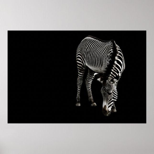 Zebra P4435 Skriv ut Poster (Framsidan)