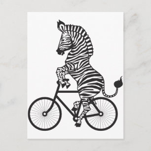 Zebra på Bike Vykort