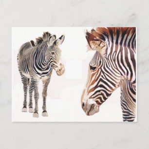 "Zebra Pair" Watercolor Wildlife Art Vykort