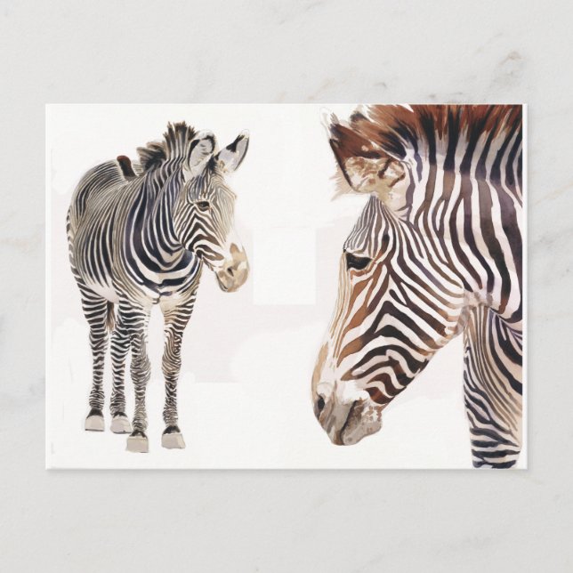 "Zebra Pair" Watercolor Wildlife Art Vykort (Framsida)