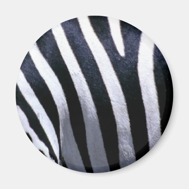 Zebra Päls Magnet (Framsidan)