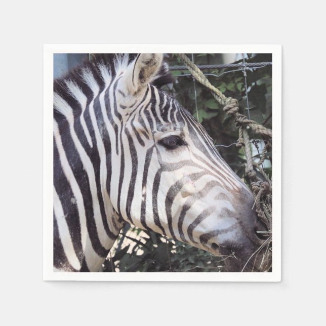 Zebra Pappersservett (Framsidan)