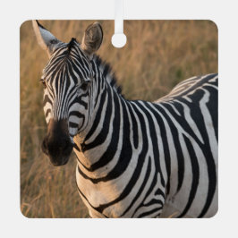 Zebra Personalize Namn Photo-jul Julgransdekoration