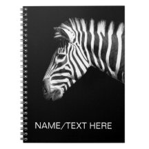 Zebra Portrait on Black Personalized Name or Text