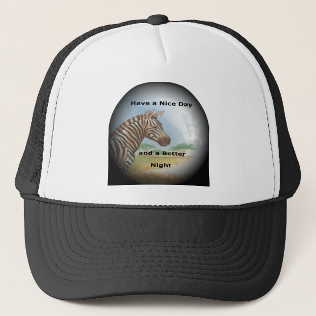 Zebra Porträtt, Amboseli: Savanna-andan Keps (Framsida)