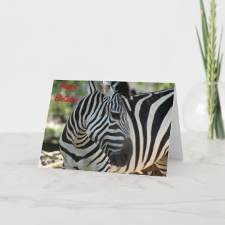 Zebra Pose Birthday Card Kort