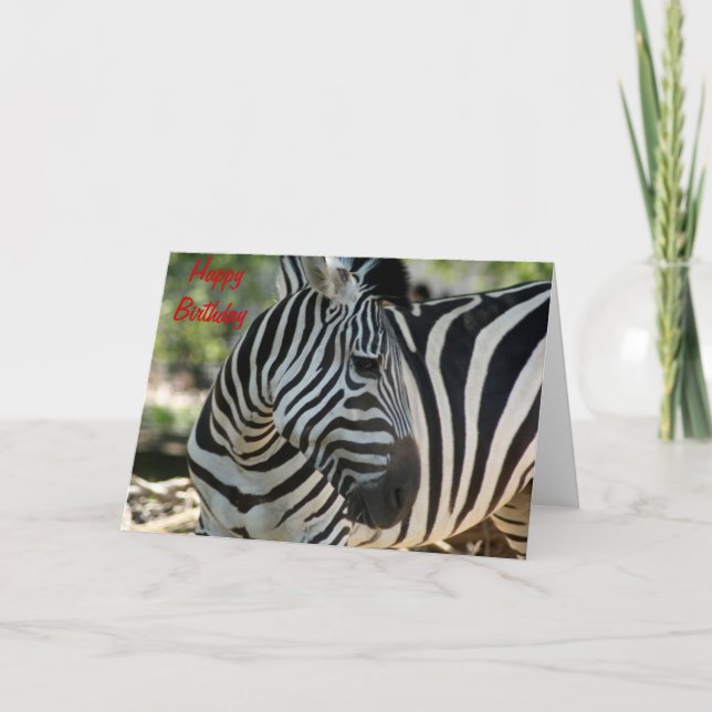 Zebra Pose Birthday Card Kort (Framsida)