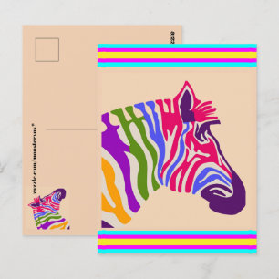 Zebra Postcard Vykort