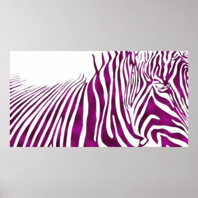 ZEBRA POSTER (Framsidan)