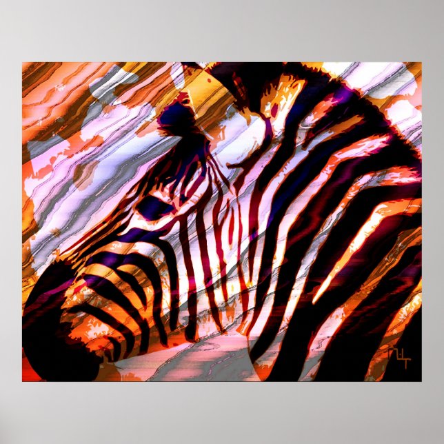 Zebra Poster (Framsidan)