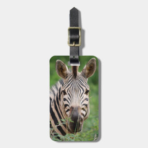 Zebra-profil Bagagebricka