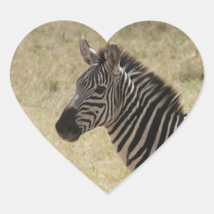 zebra-profil hjärtformat klistermärke