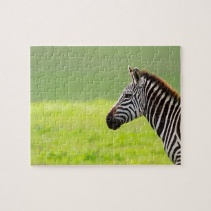 Zebra Pussel