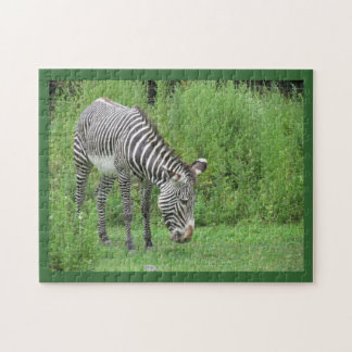 Zebra Puzzle Pussel