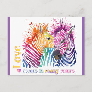 Zebra Rainbow Postcard Vykort
