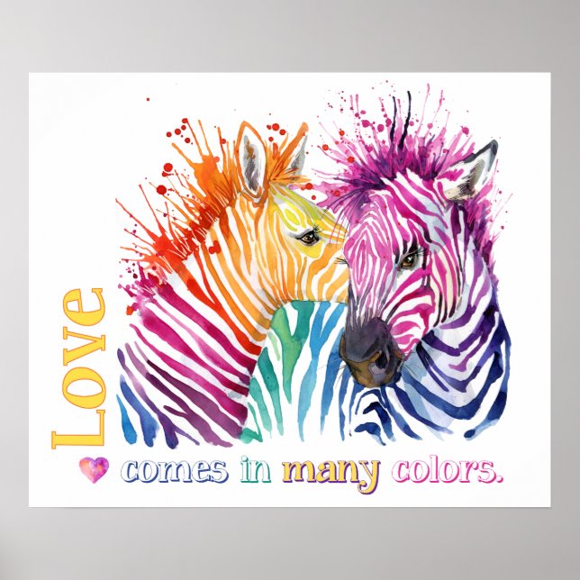 Zebra Rainbow Poster (Framsidan)