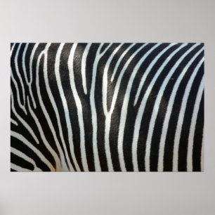 Zebra ränder 1 poster