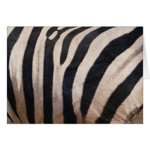 Zebra ränder Black and White Hälsningskort