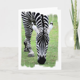Zebra ränder hälsningskort kort