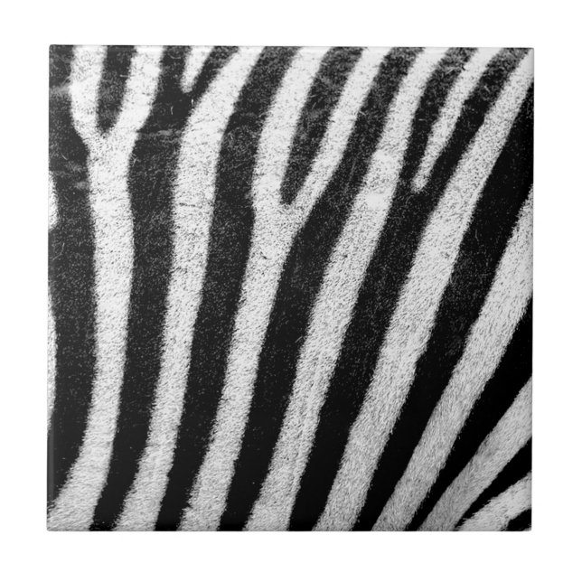 zebra ränder kakelplatta (Framsidan)