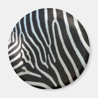 Zebra ränder magnet